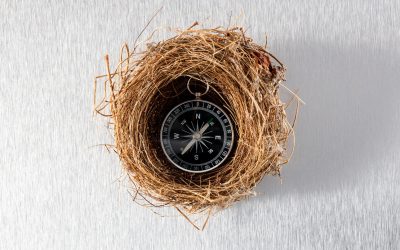 Debunking Common Myths About Retirement